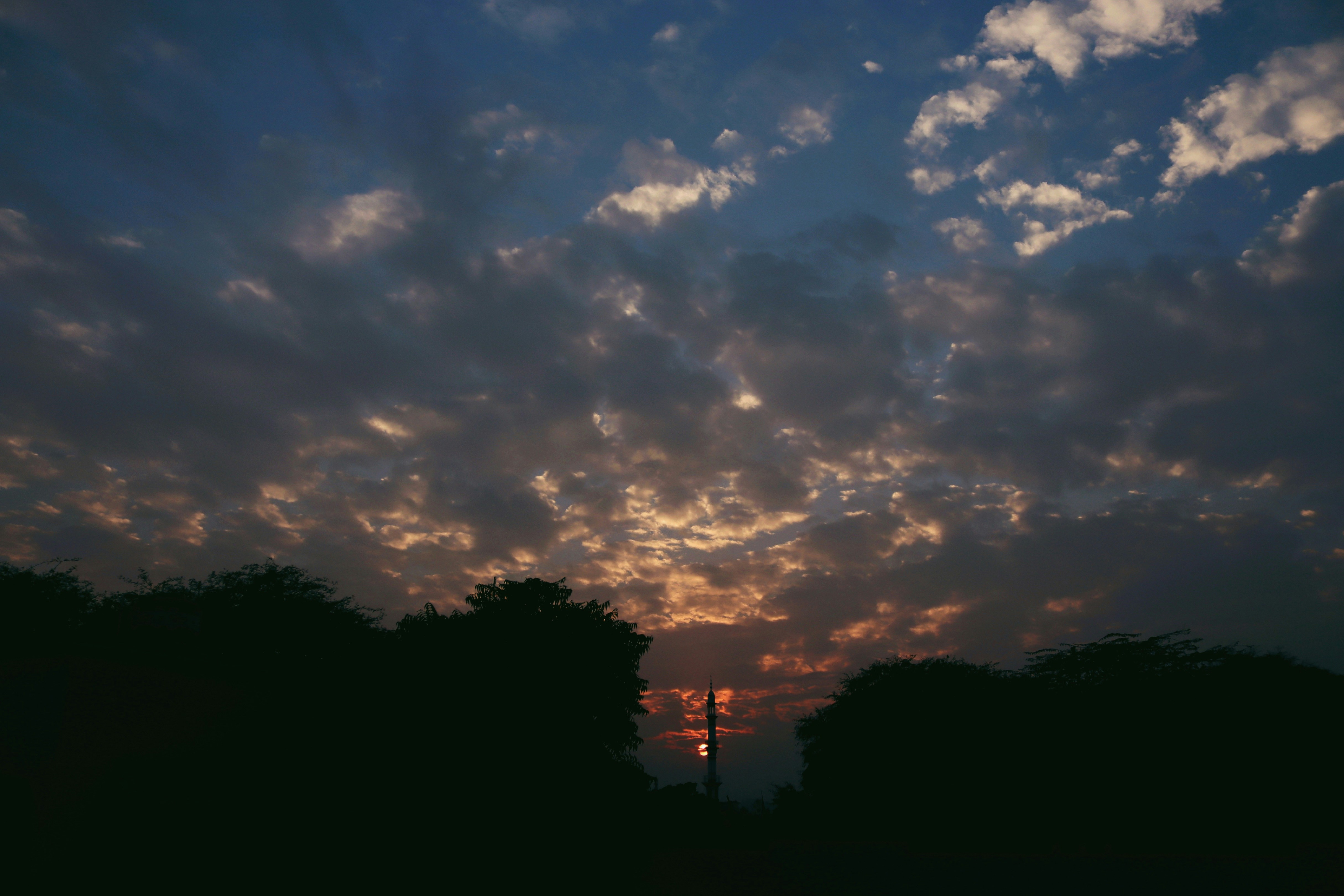 El sol se está poniendo detrás de algunos árboles