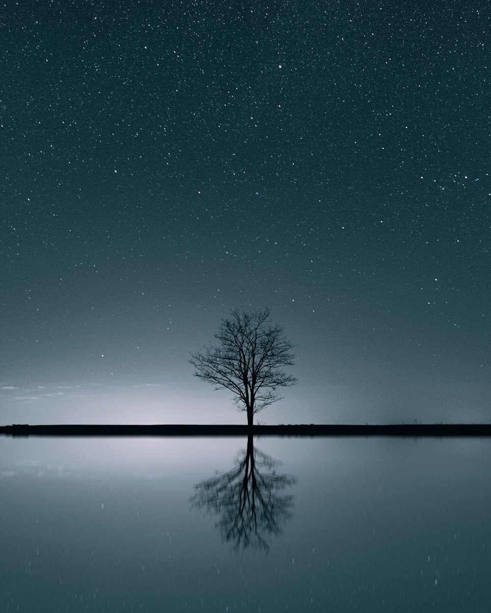 a lone tree in the middle of a lake at night