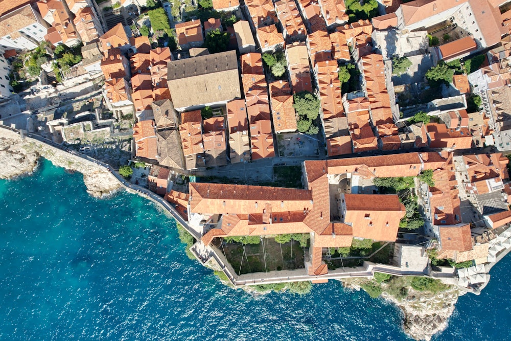 an aerial view of a small village by the water