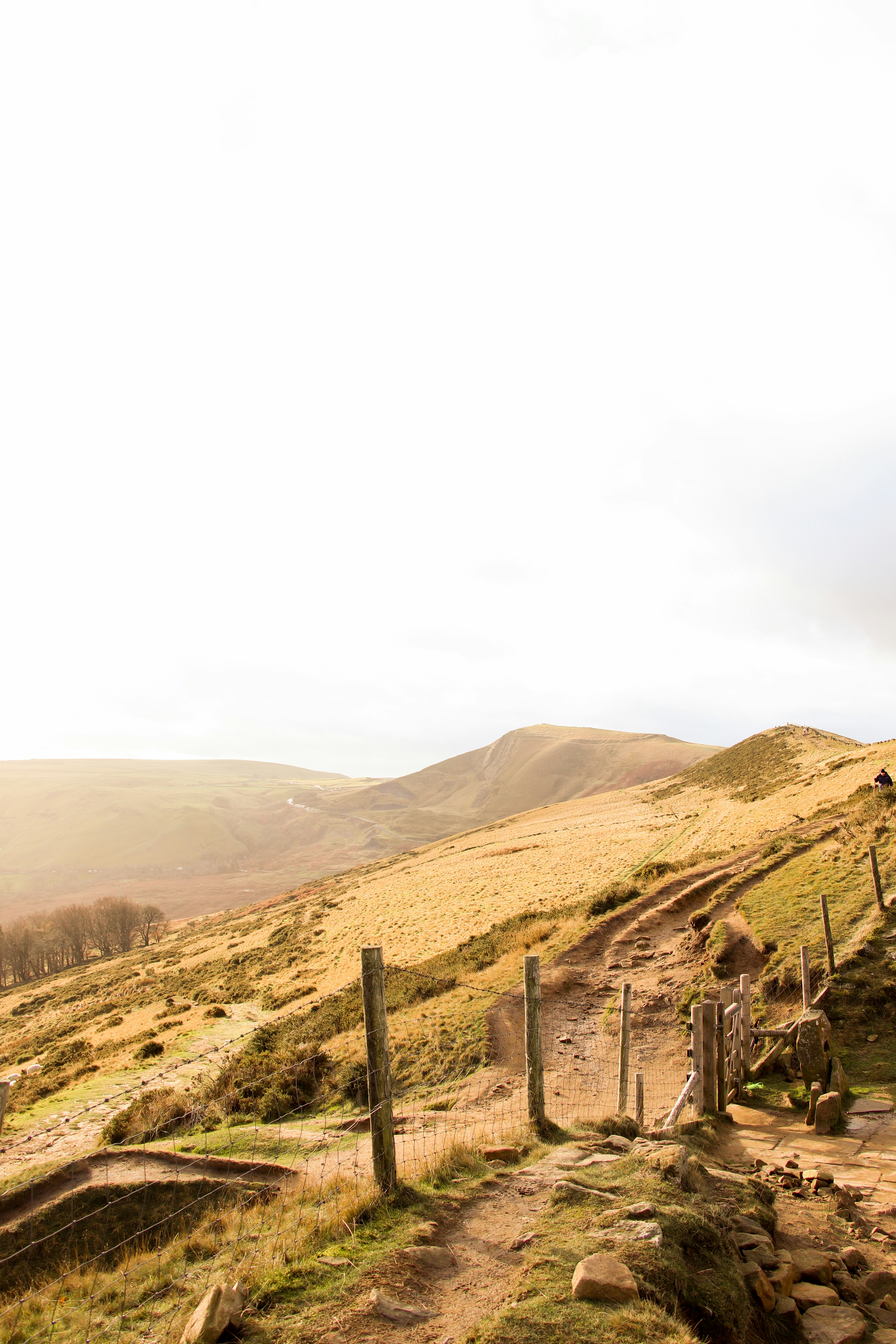 Photo by denleyjones