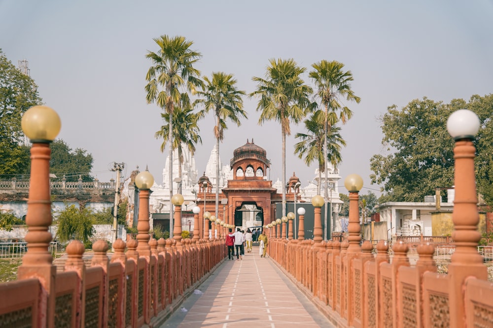 a walkway with palm trees and a building in the background