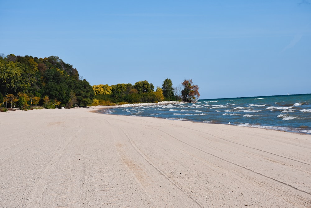 a sandy beach next to a body of water