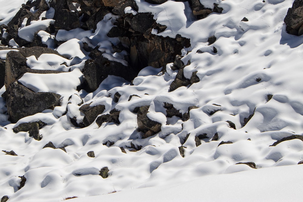 a man riding skis down a snow covered slope