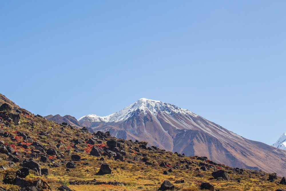 Una montaña con un pico nevado en la distancia