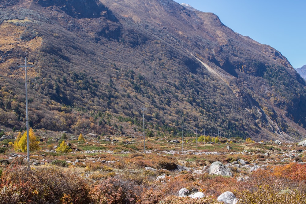 a view of a valley with a mountain in the background