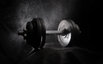 a black and white photo of a dumbbell