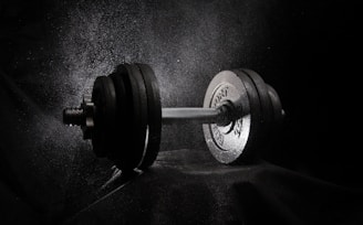 a black and white photo of a dumbbell