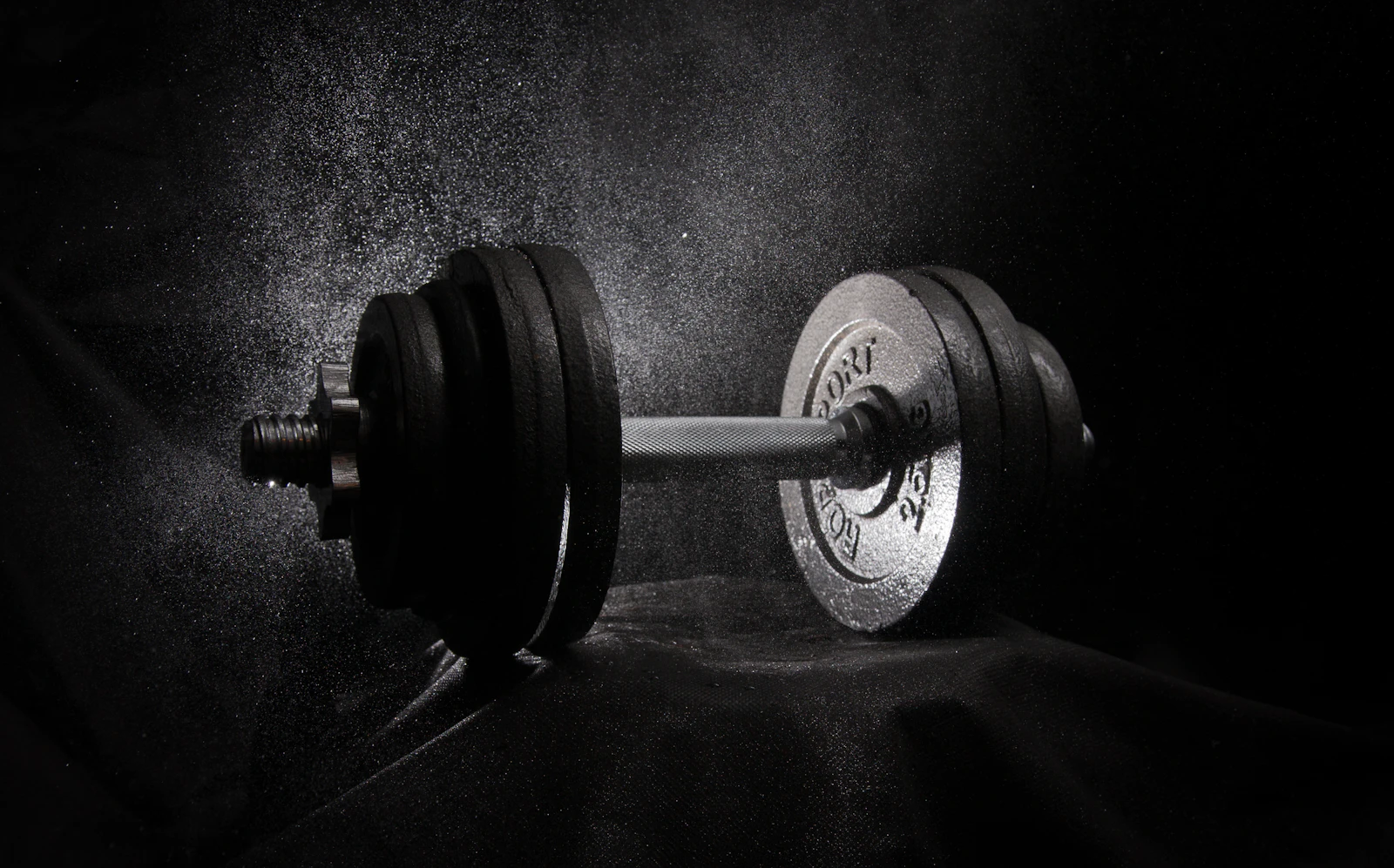 Aesthetic Bodybuilding Advanced 2
