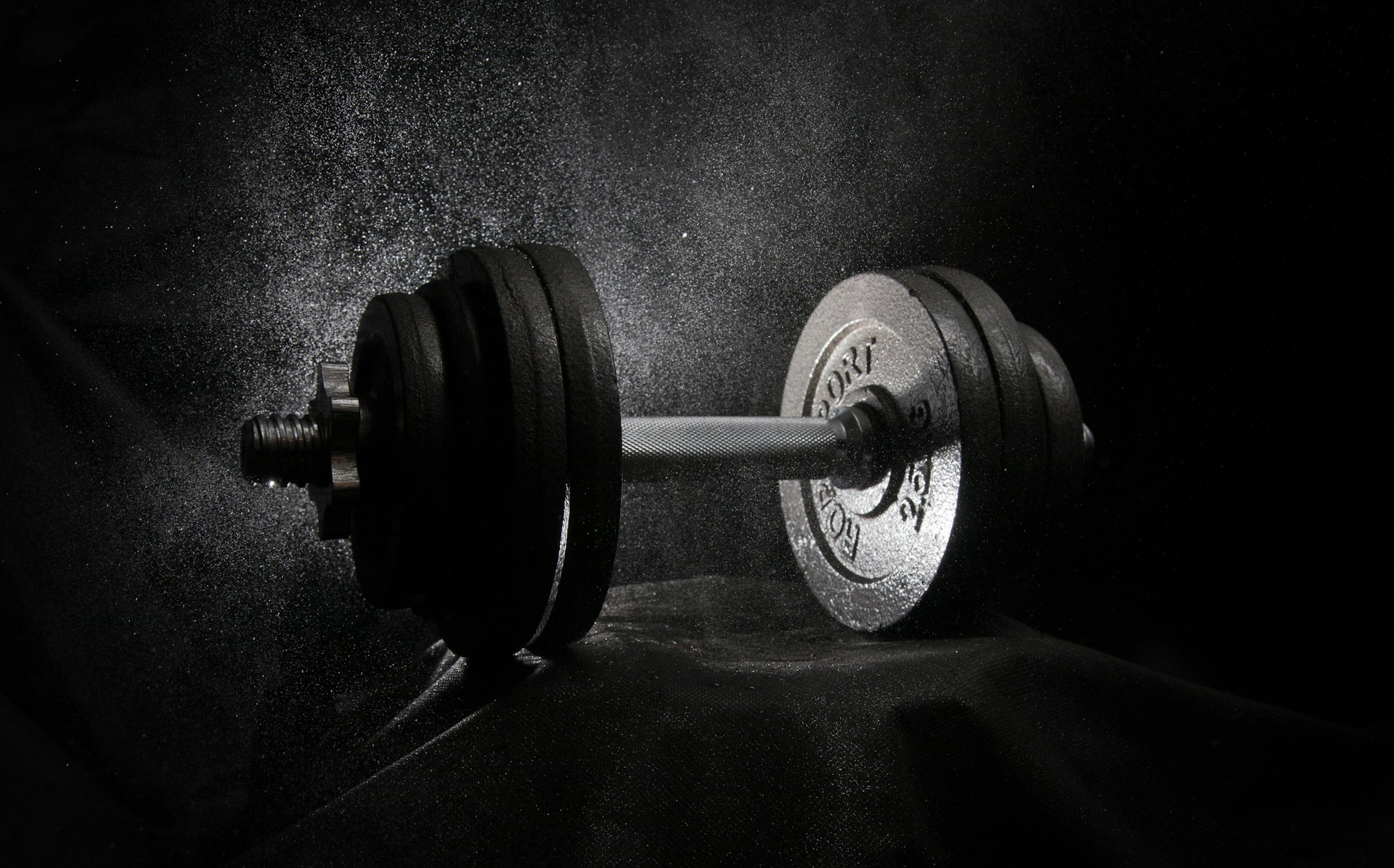 a black and white photo of a dumbbell