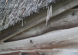 A close-up of high-quality roofing materials used in our projects.