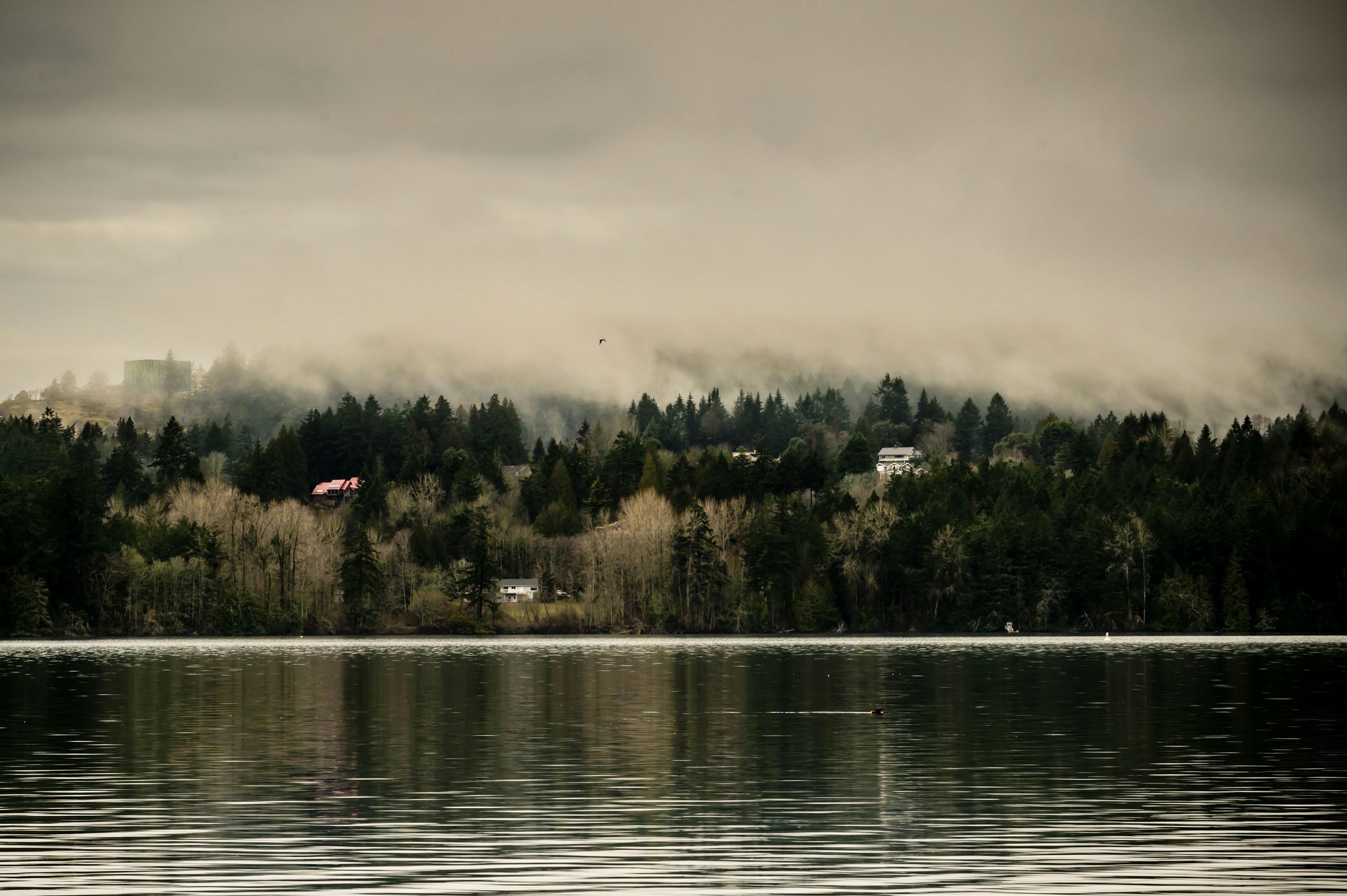 Photo by hiking_corgi