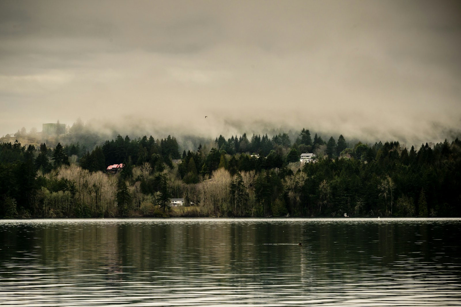 Royal Oak Saanich Real Estate Guide: Parks, Shopping, and Daily Convenience