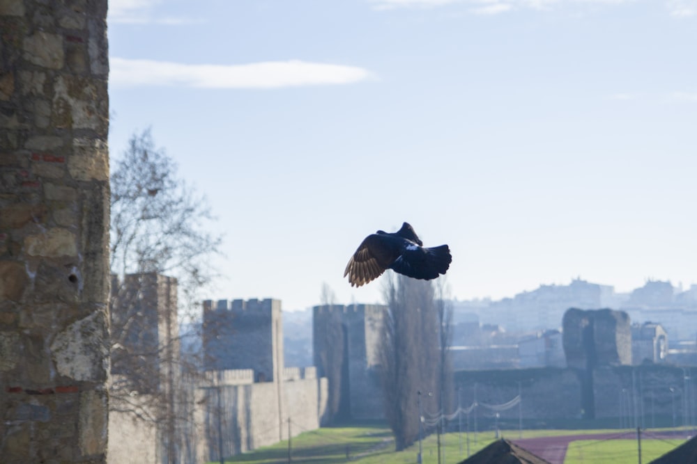 a bird flying over a city with a castle in the background