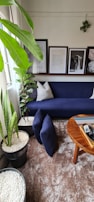 An inviting living room with a freshly steam-cleaned sofa in cool blue tones.