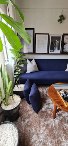 Cozy living room with deep navy blue sofa, gold-accented cushions, and warm white curtains.