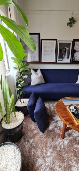 A cozy living room corner featuring a sleek modern sofa with soft green cushions and a small indoor plant by the window.