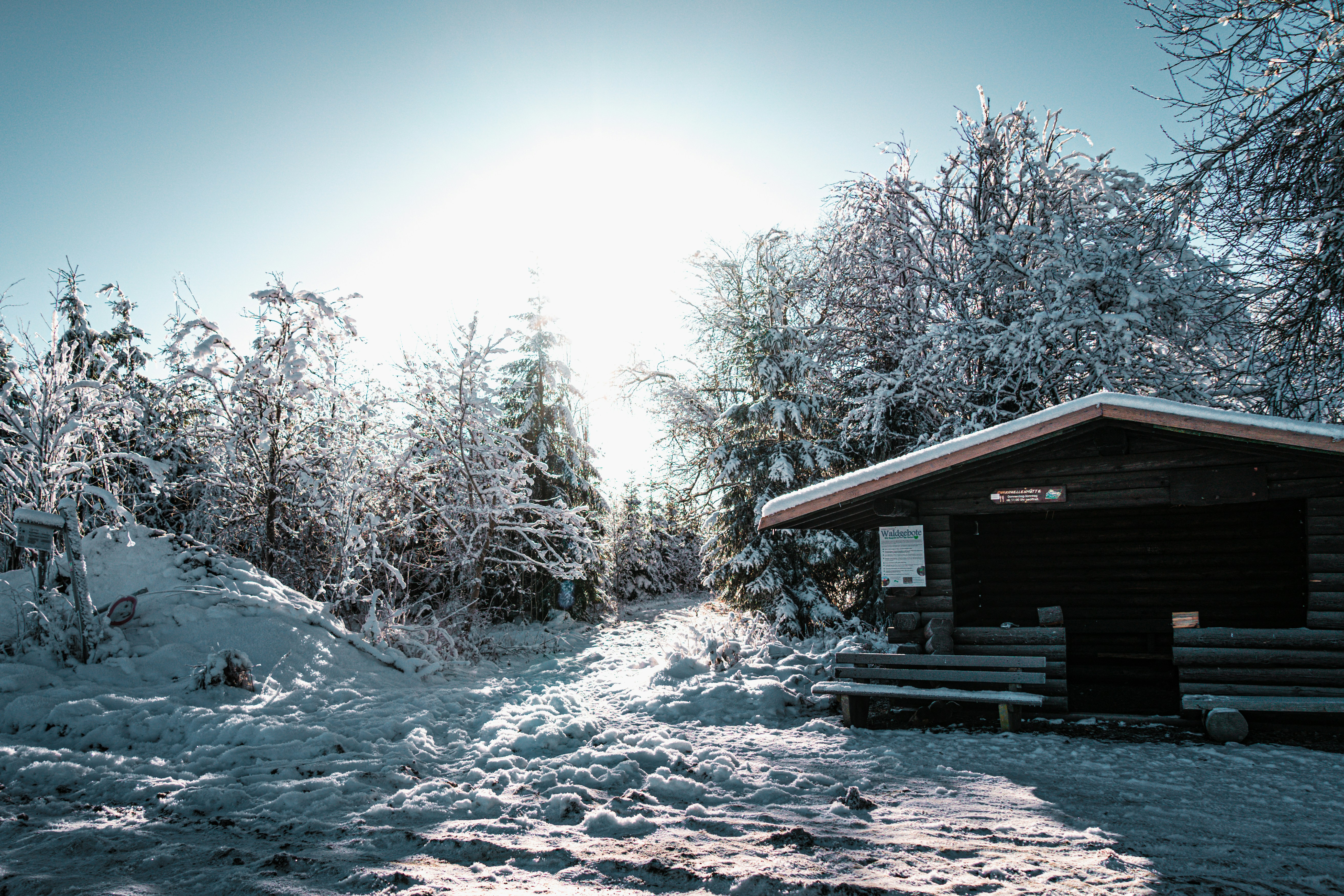 Photo by maritvanwijngaarden