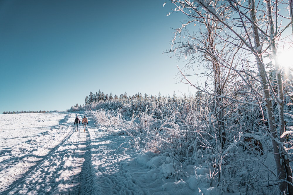 a couple of people walking across a snow covered field