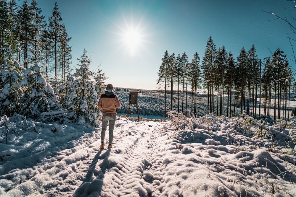 a person standing on a snow covered path