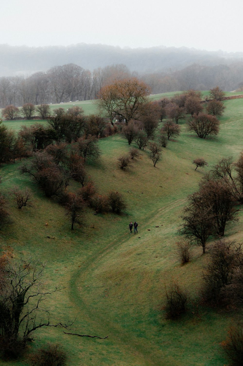 a couple of people walking through a lush green field