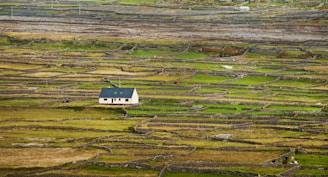 A rural landscape featuring a small house situated in the middle of an expansive area covered with lush green fields and stone walls. The fields are divided into numerous irregularly shaped patches bordered by low stone fences. The overall scene conveys a sense of order and tranquility amidst the rugged natural surroundings.