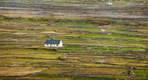 A rural landscape featuring a small house situated in the middle of an expansive area covered with lush green fields and stone walls. The fields are divided into numerous irregularly shaped patches bordered by low stone fences. The overall scene conveys a sense of order and tranquility amidst the rugged natural surroundings.