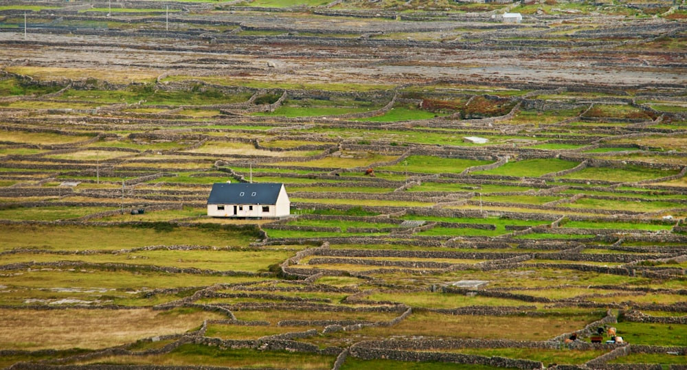 a house in the middle of a field