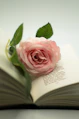 a pink rose sitting on top of an open book