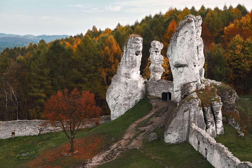 a large rock formation in the middle of a forest