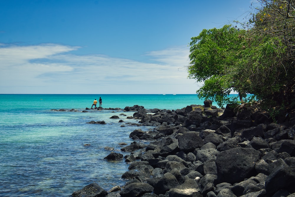 a couple of people standing on top of a rocky beach