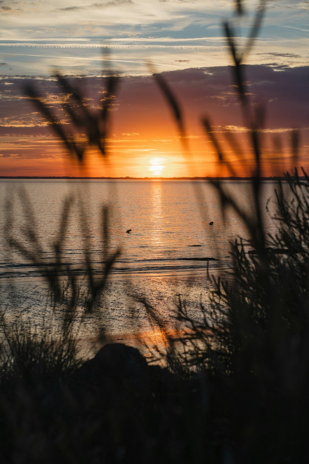 Il sole sta tramontando su uno specchio d'acqua