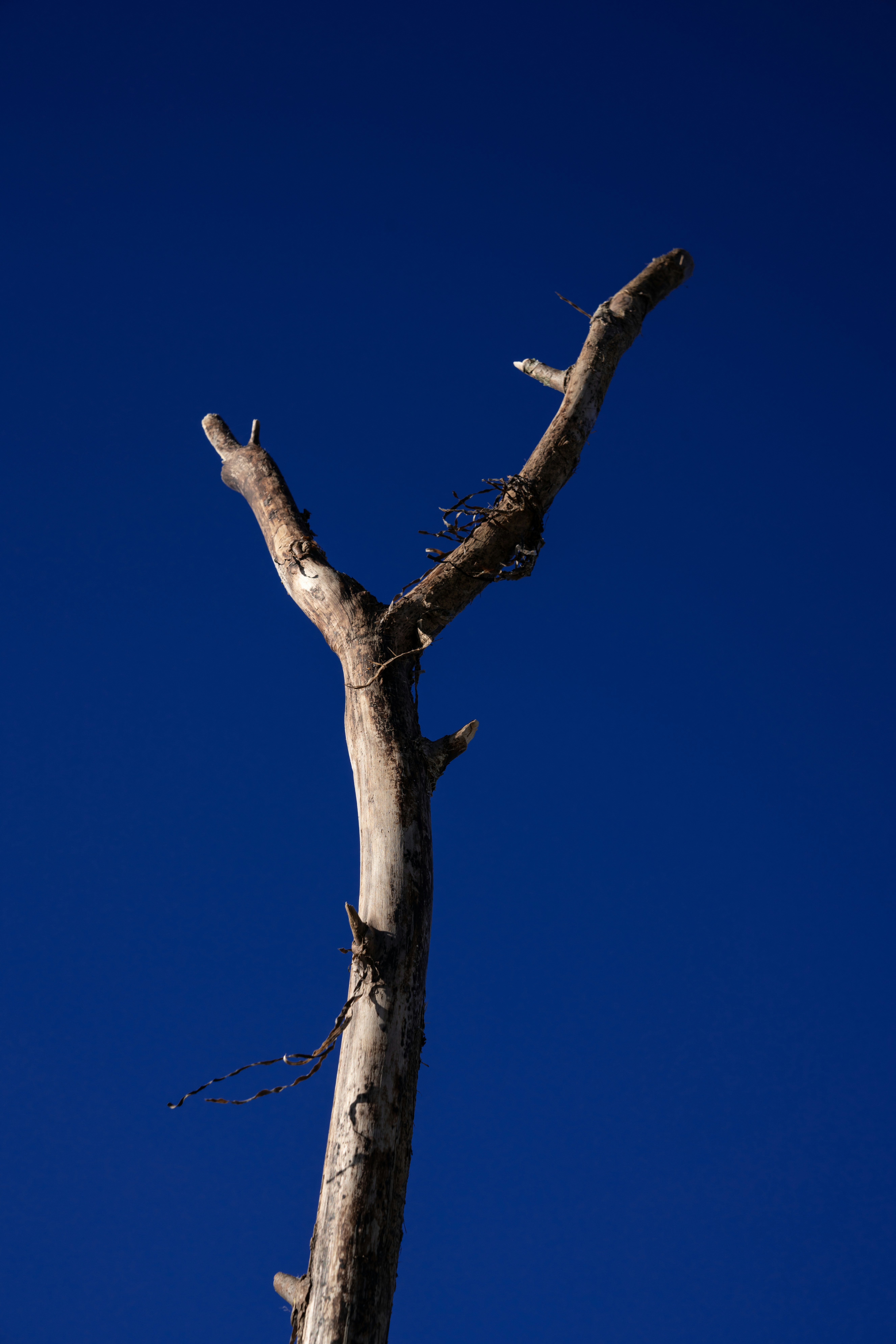 Photo by hyggesalpaka