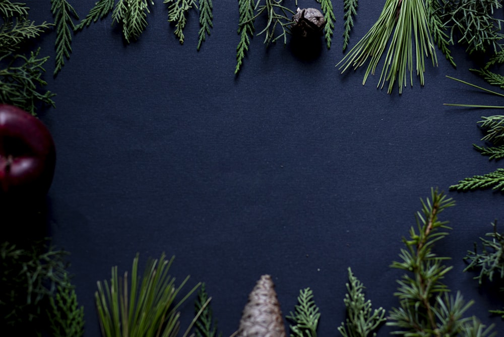 a black background with pine cones, pine needles, and an apple