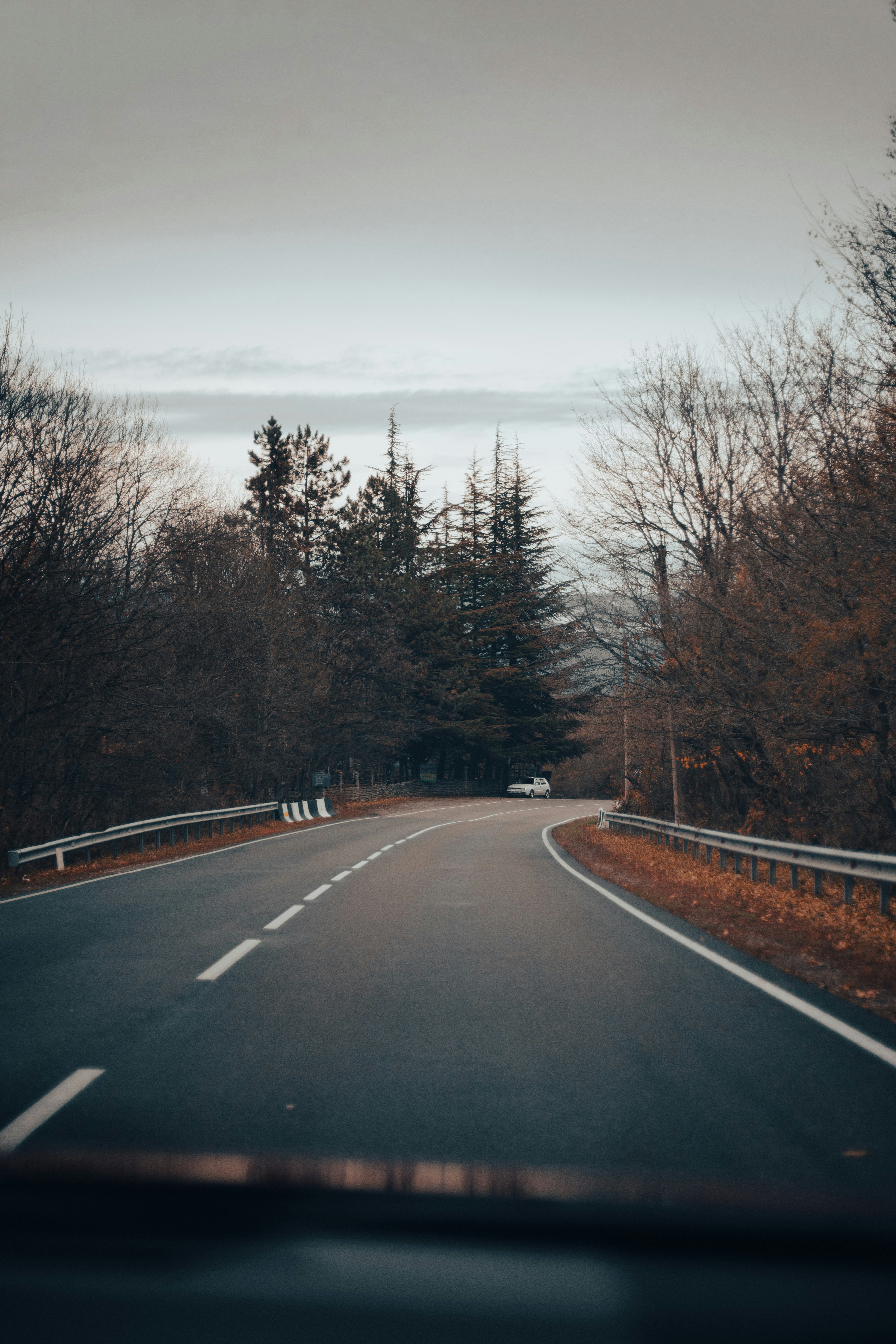 Telavi – Budgeting & Cost Expectations