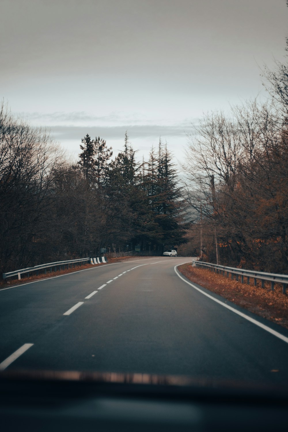 an empty road with trees on both sides