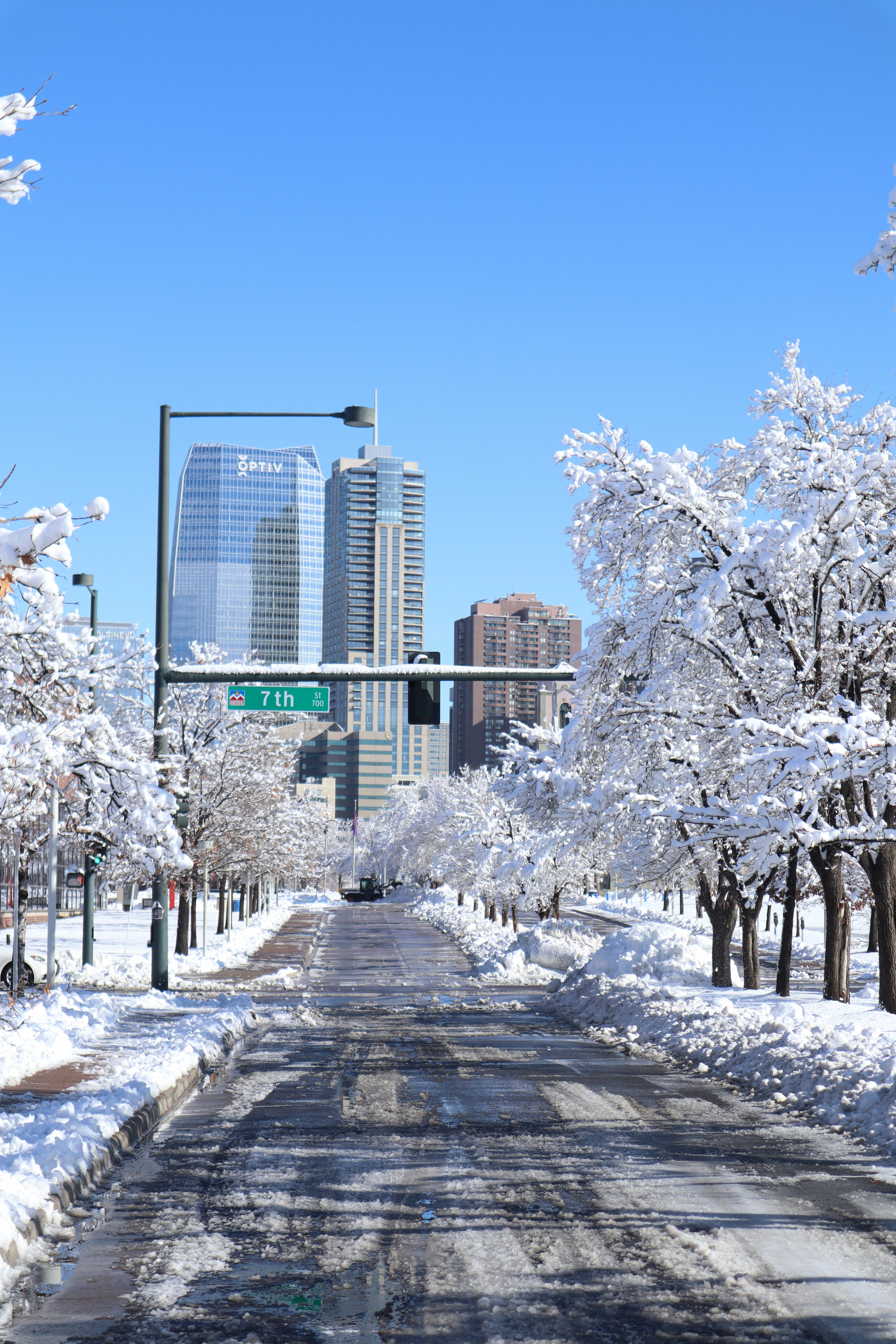 a street with snow covered trees and a traffic light