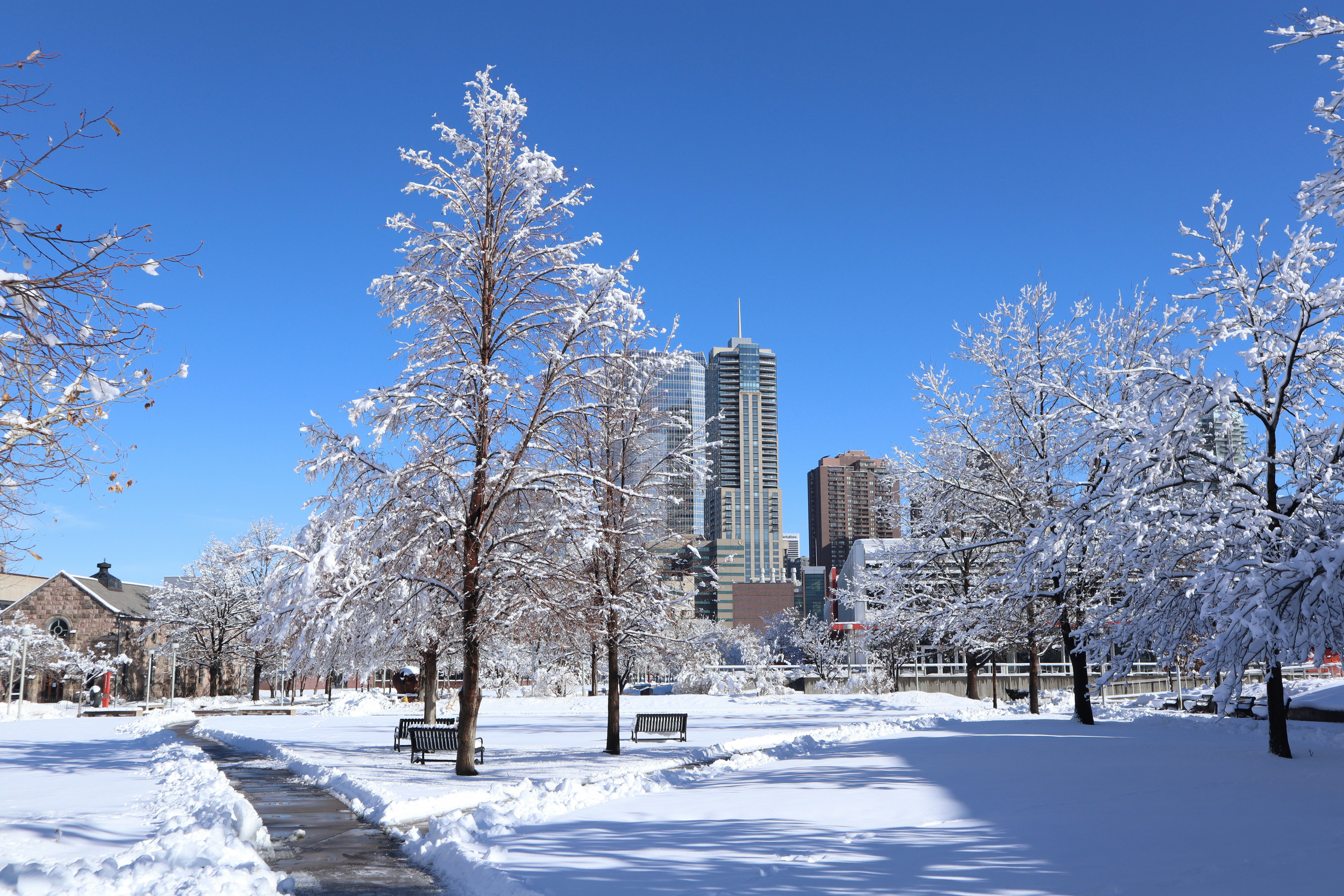 Photo by echigo_echie