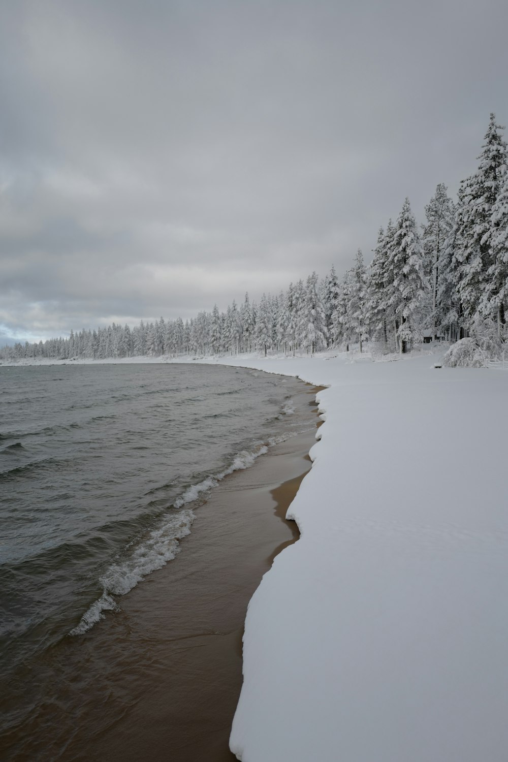 un cuerpo de agua rodeado de árboles cubiertos de nieve