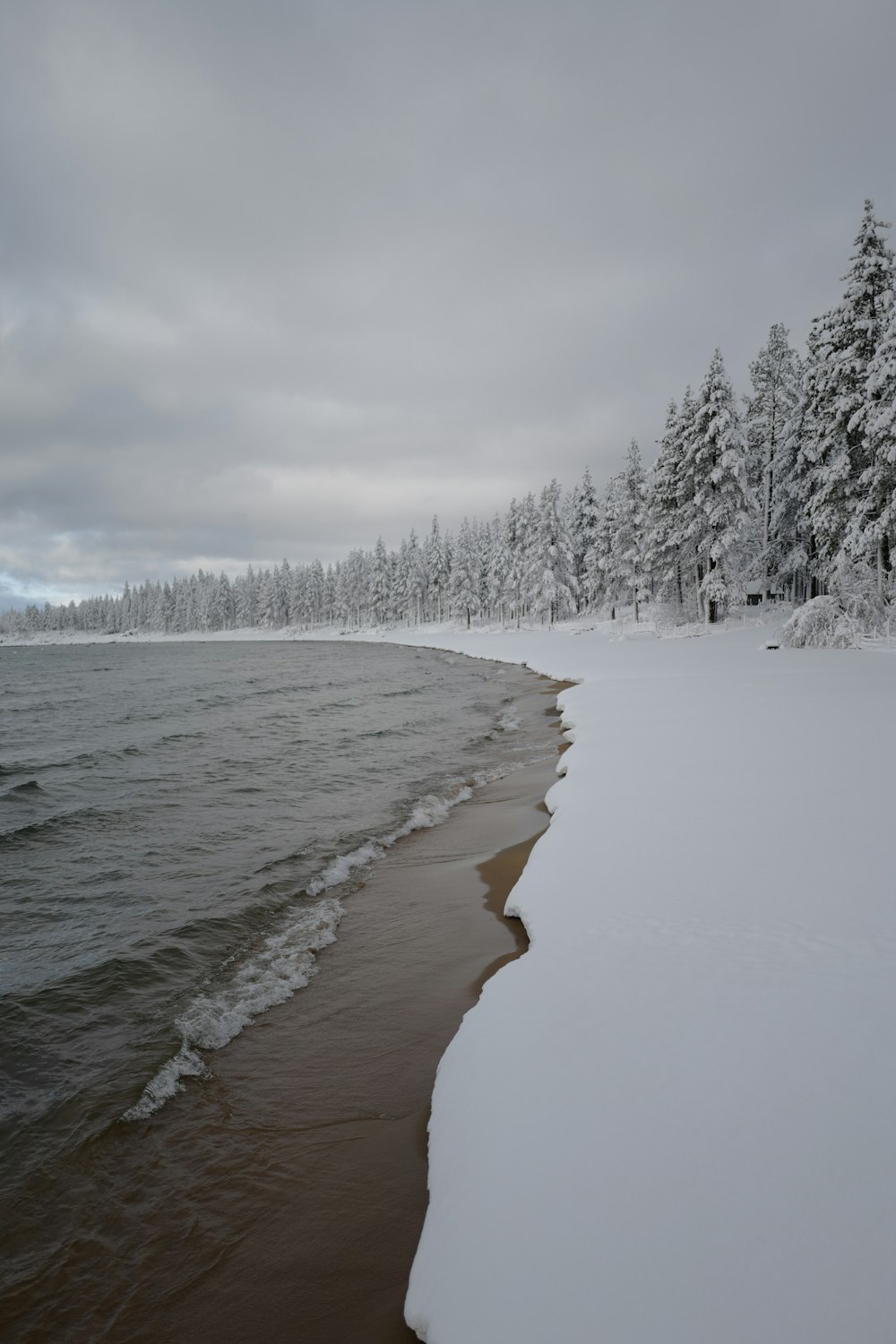 a body of water surrounded by snow covered trees