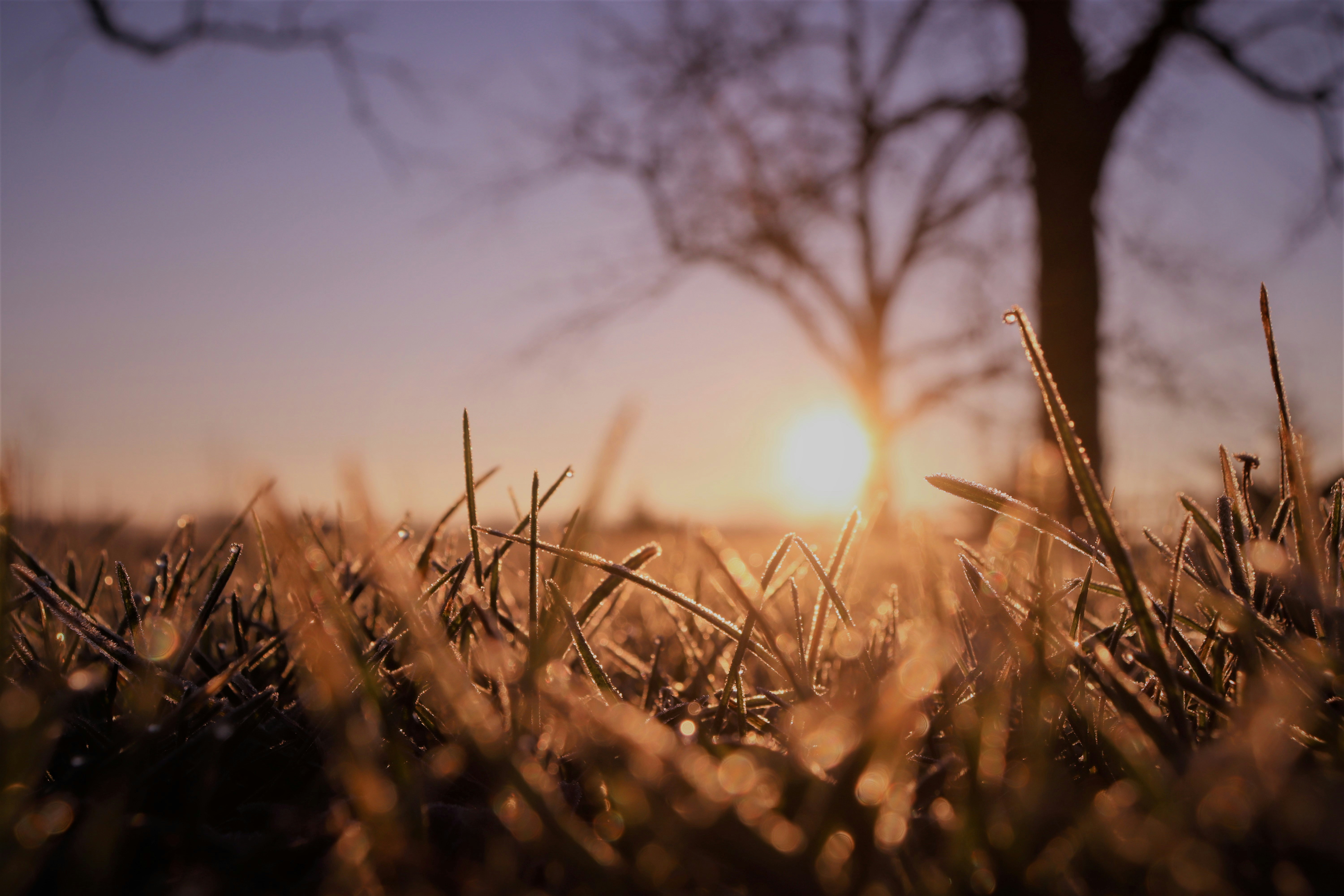 Photo by jaydenherr2005