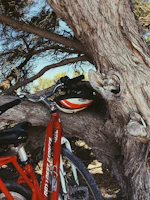 Clear image of a red bicycle parked near a tree on a sunny day.