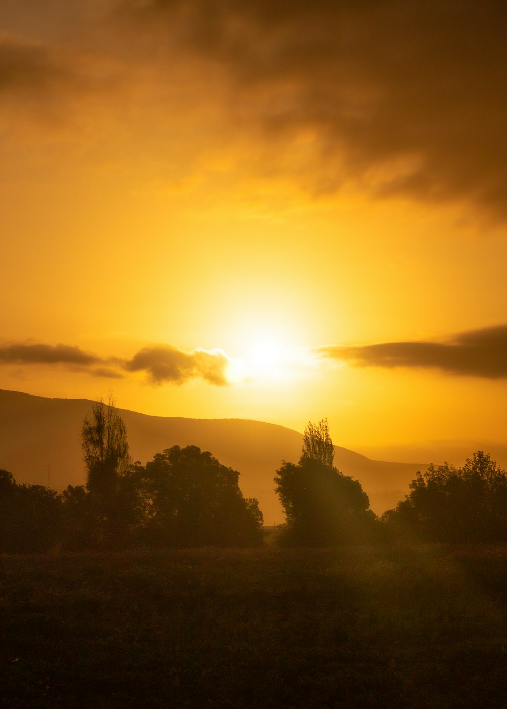 the sun is setting over a field with trees