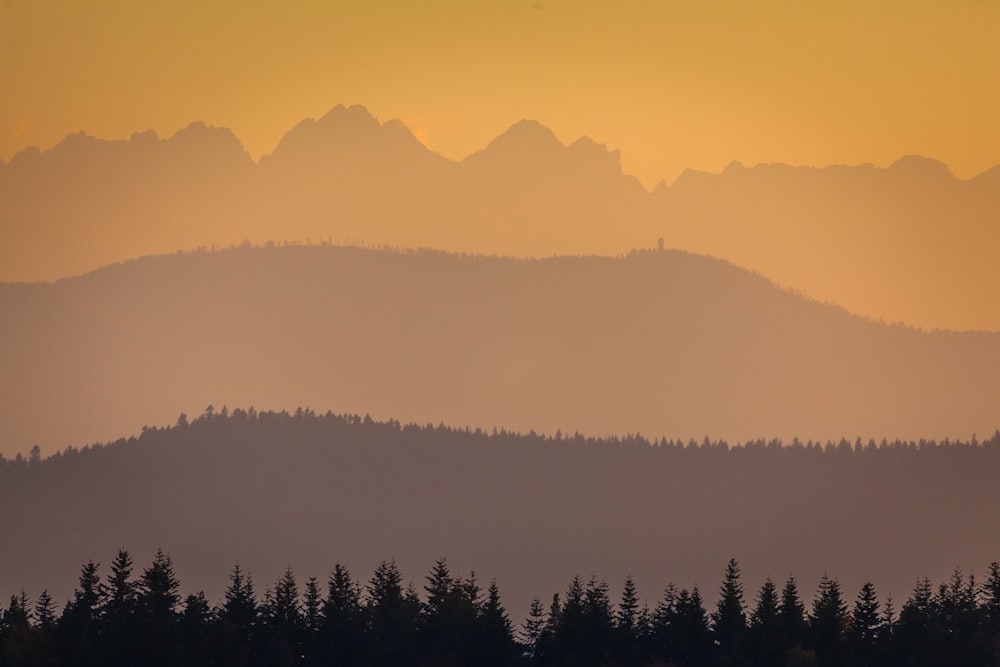 a view of a mountain range with trees in the foreground