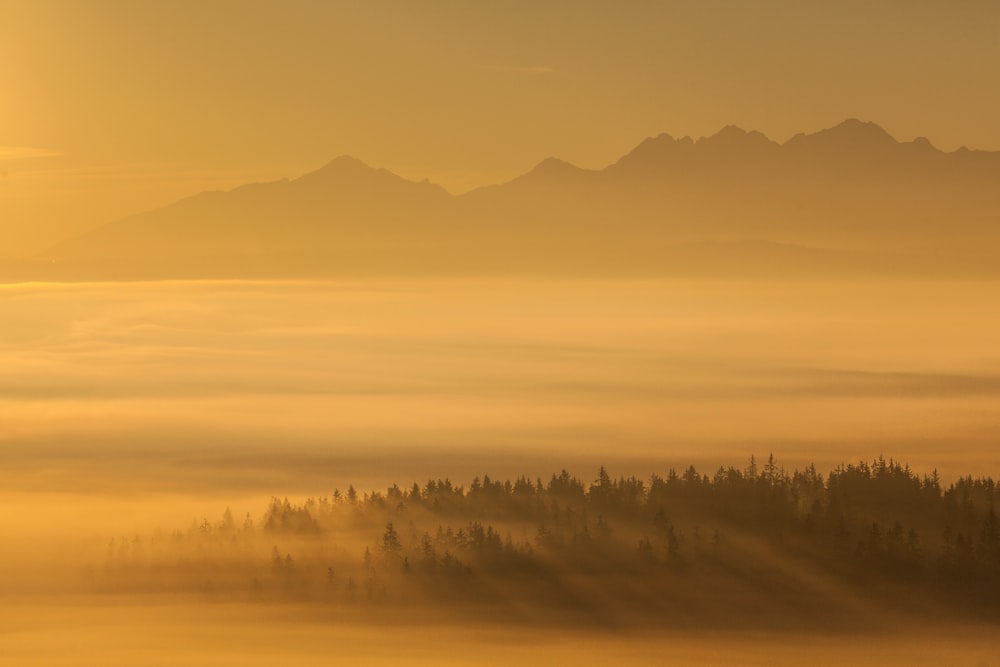 the sun is shining through the fog in the mountains