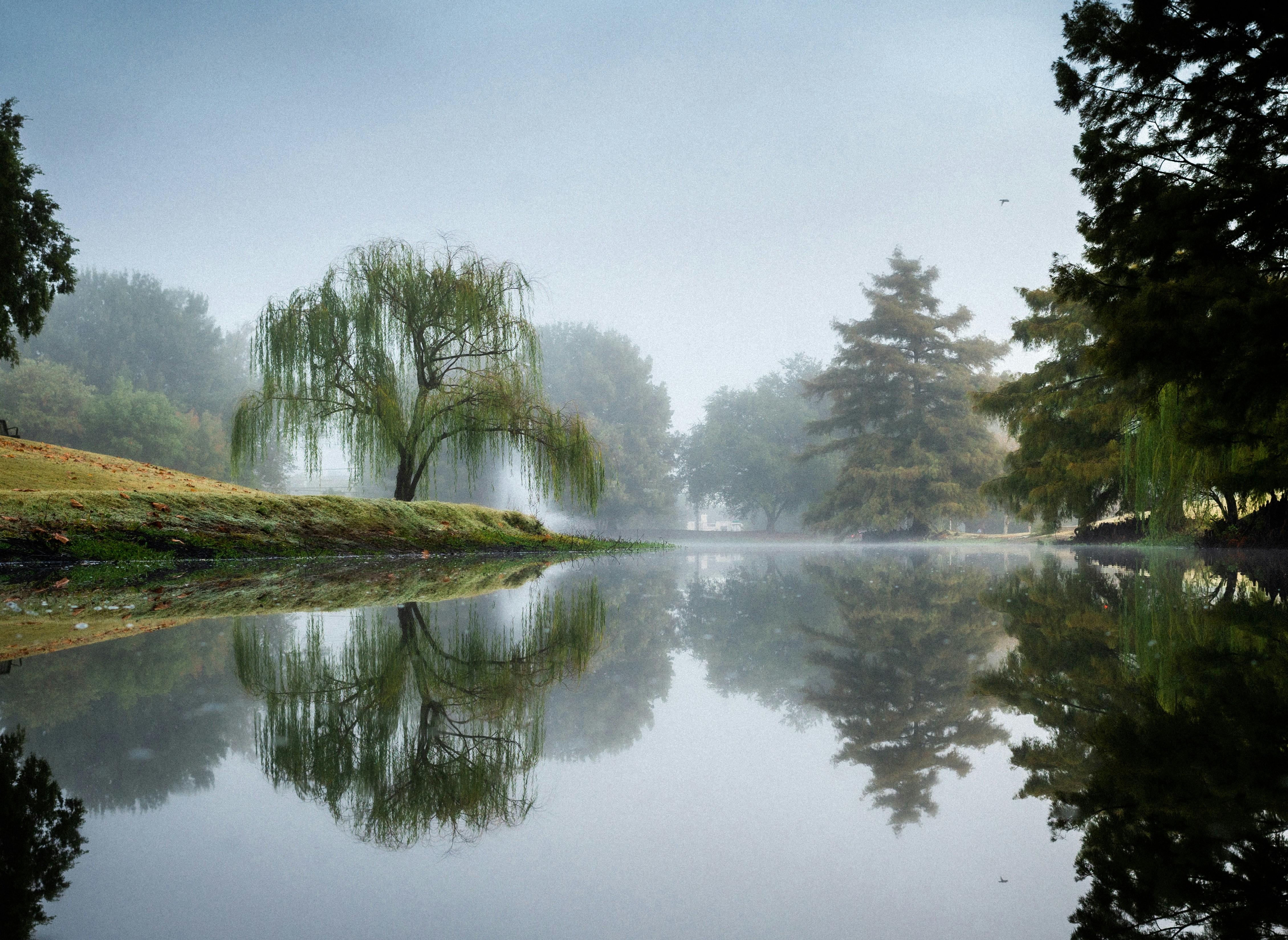 a body of water surrounded by trees on a foggy day