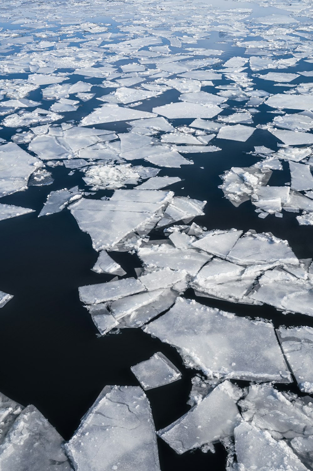 a large amount of ice floating on top of a body of water