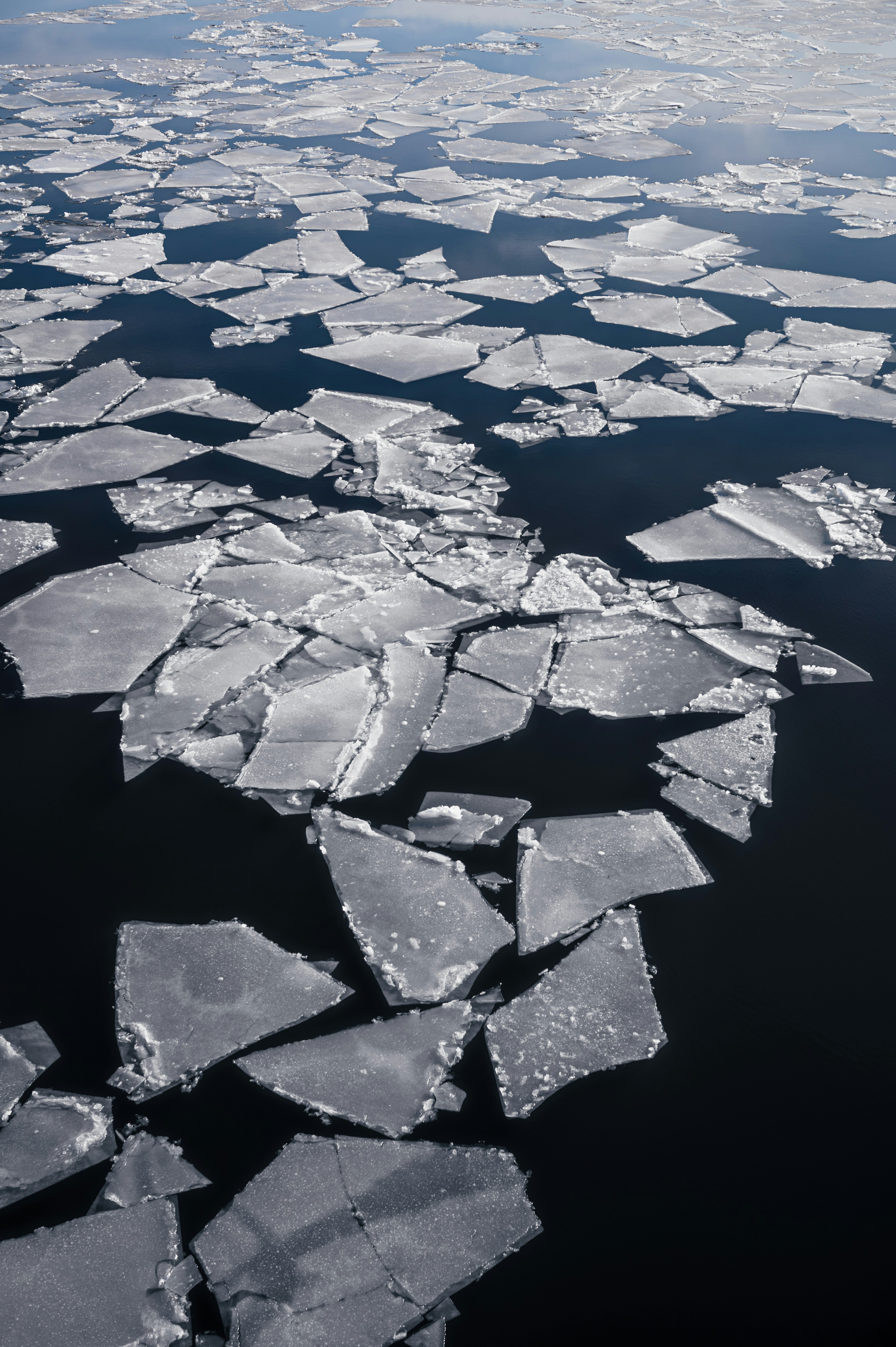 How Network Digital Twins Enable Predictive Infrastructure Management