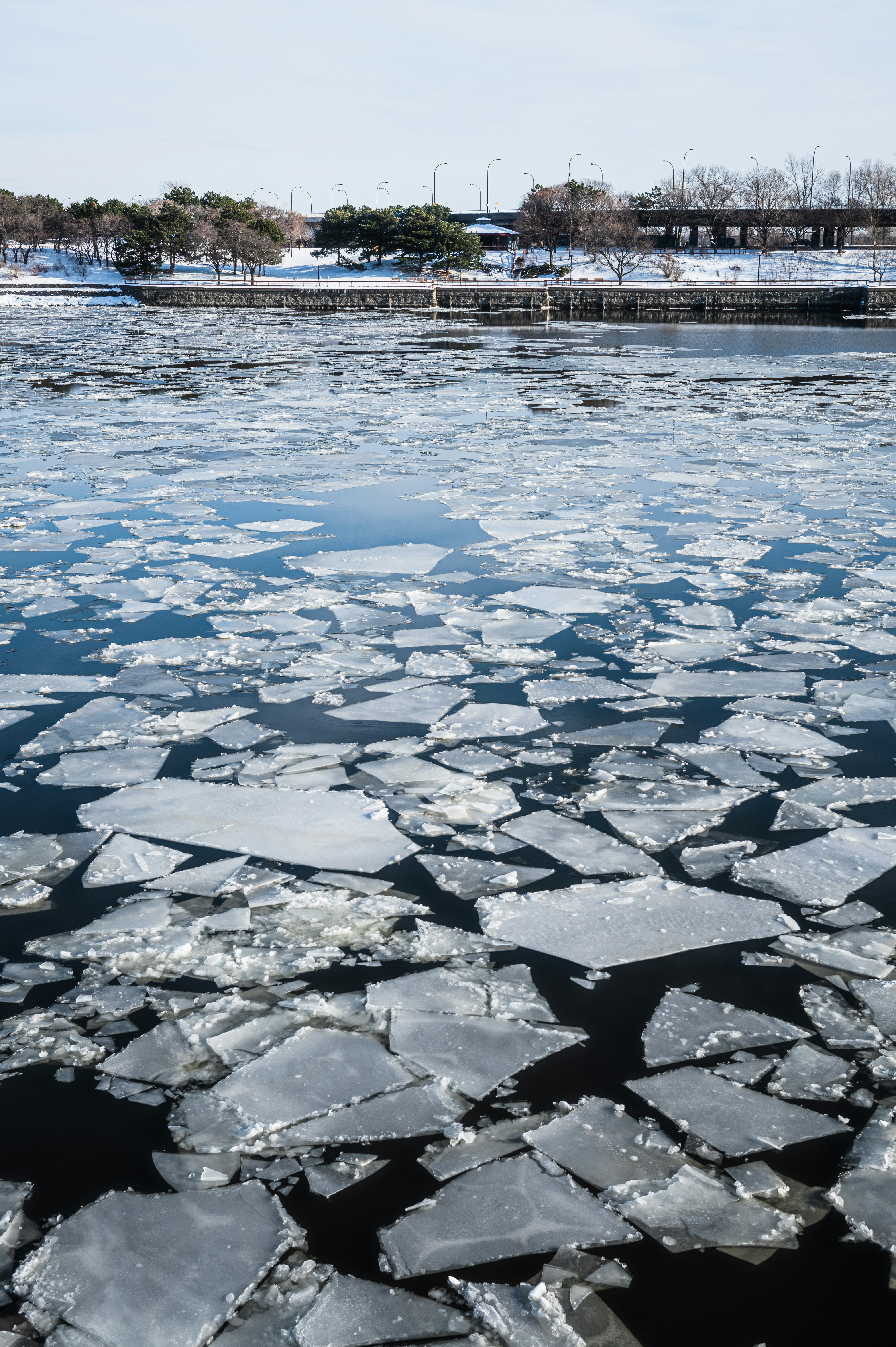 Photo by ryunosuke_kikuno