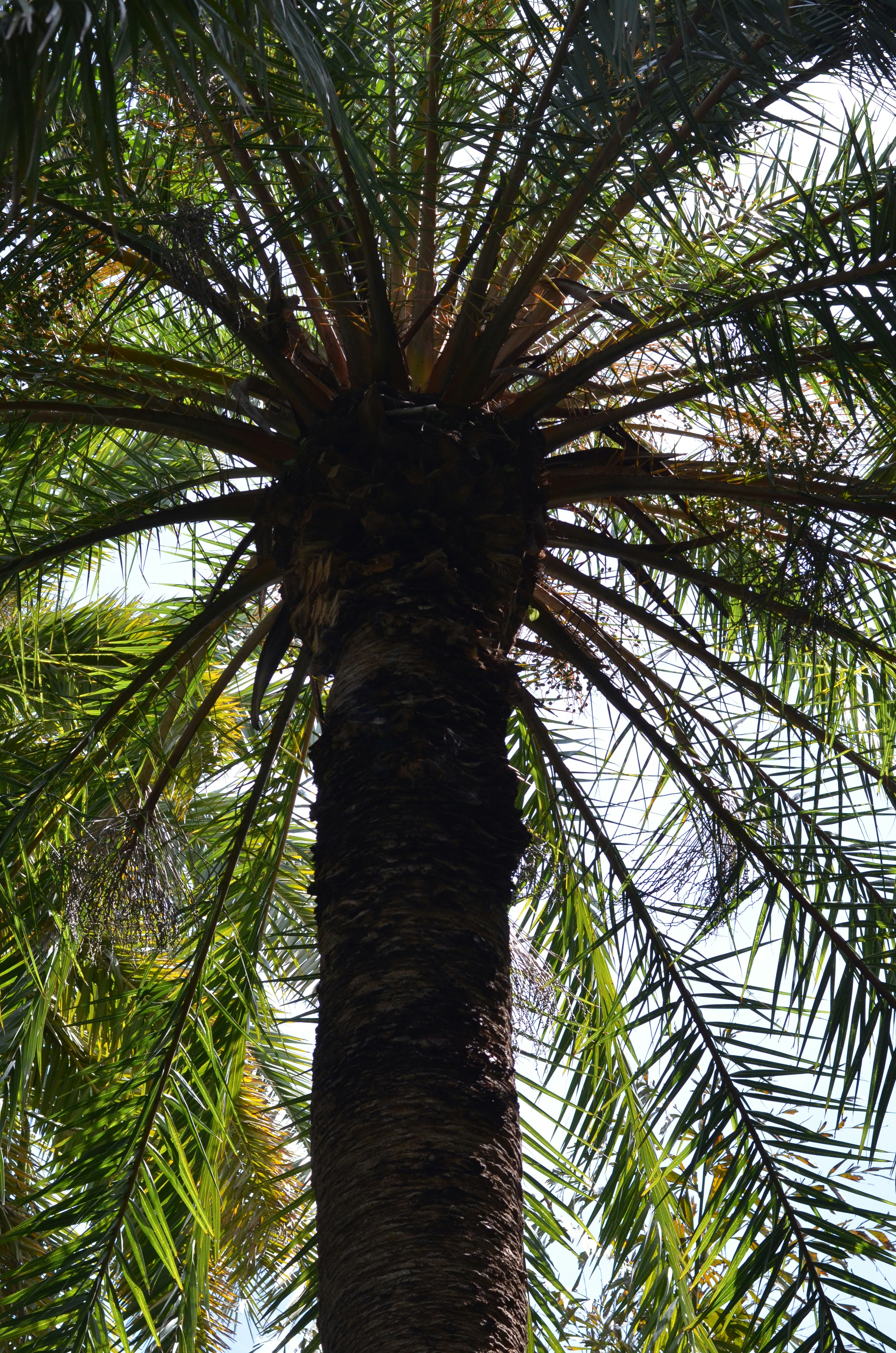 Photo by expressionsbycmarie