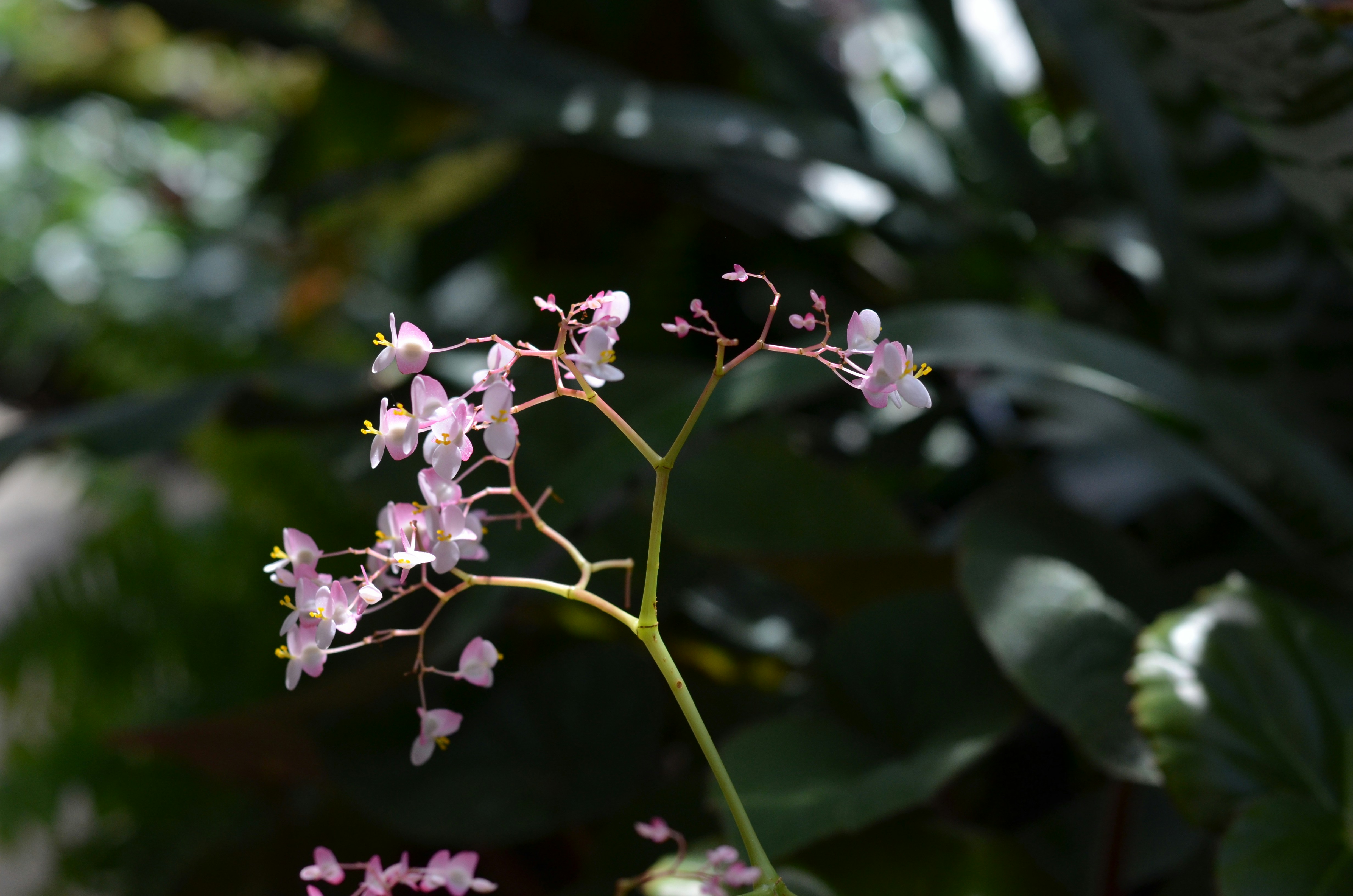 Photo by expressionsbycmarie